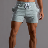 Men's Striped Slim Fit Performance Shorts - Gym Wear