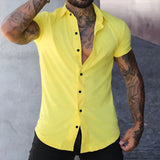 Men's Dress Shirt Slim Fit Short Sleeve - Office Wear