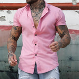 Men's Dress Shirt Slim Fit Short Sleeve - Office Wear